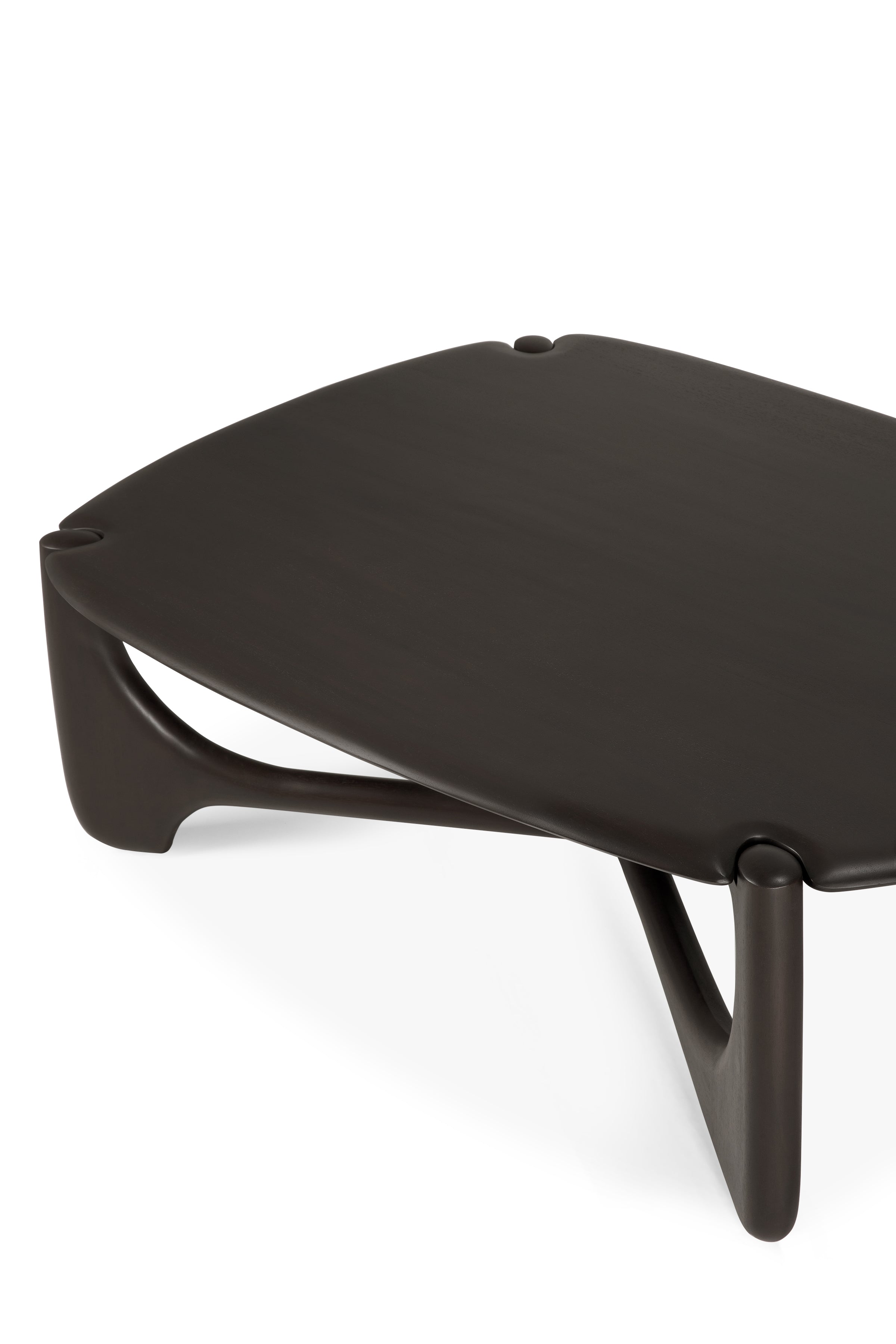 Ethnicraft Mahogany PI Pebble Coffee Table – Trit House