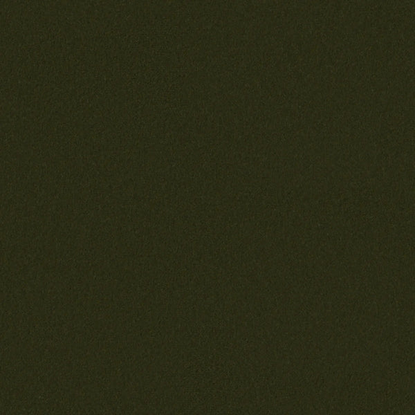 Olive-Asator 0974 – Trit House