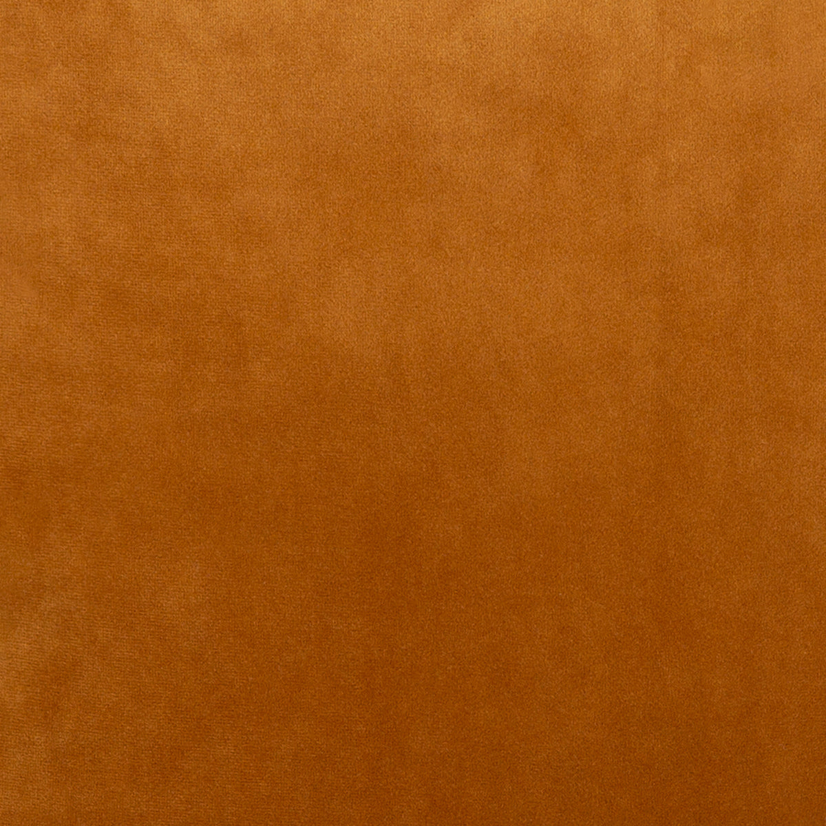 Blake Gold Velvet – Trit House